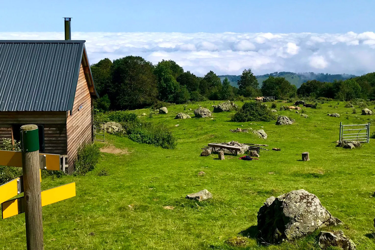 Cabane en bois sur prairie verte avec rochers, table en bois, vaches et ciel nuageux au loin.