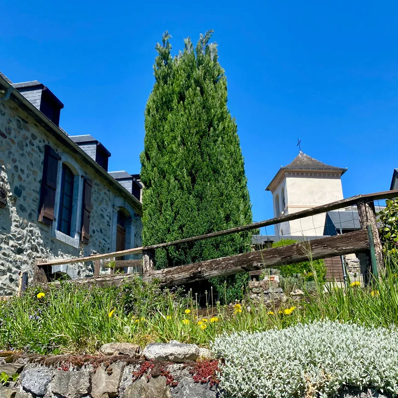 Grand conifère près d’un bâtiment en pierre sous un ciel bleu clair, avec une clôture en bois et jardin.