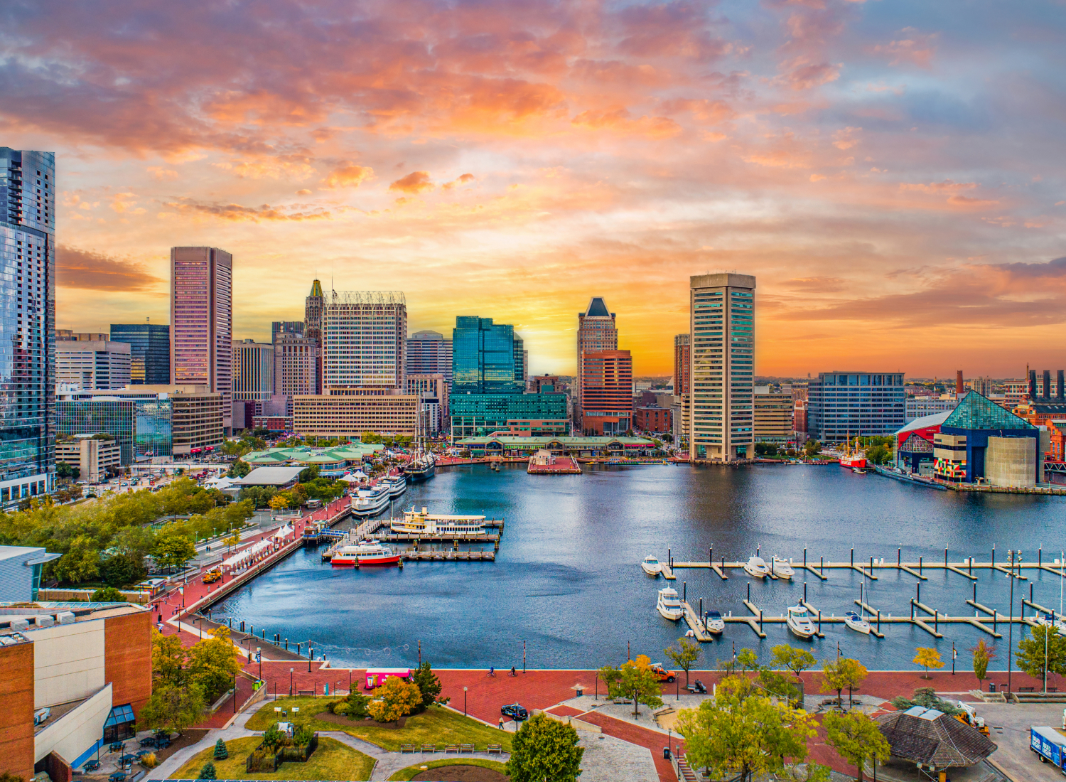 Feature image for the "The right software can have a transformative impact" section