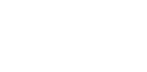 Porter Flea Case Study | Submittable