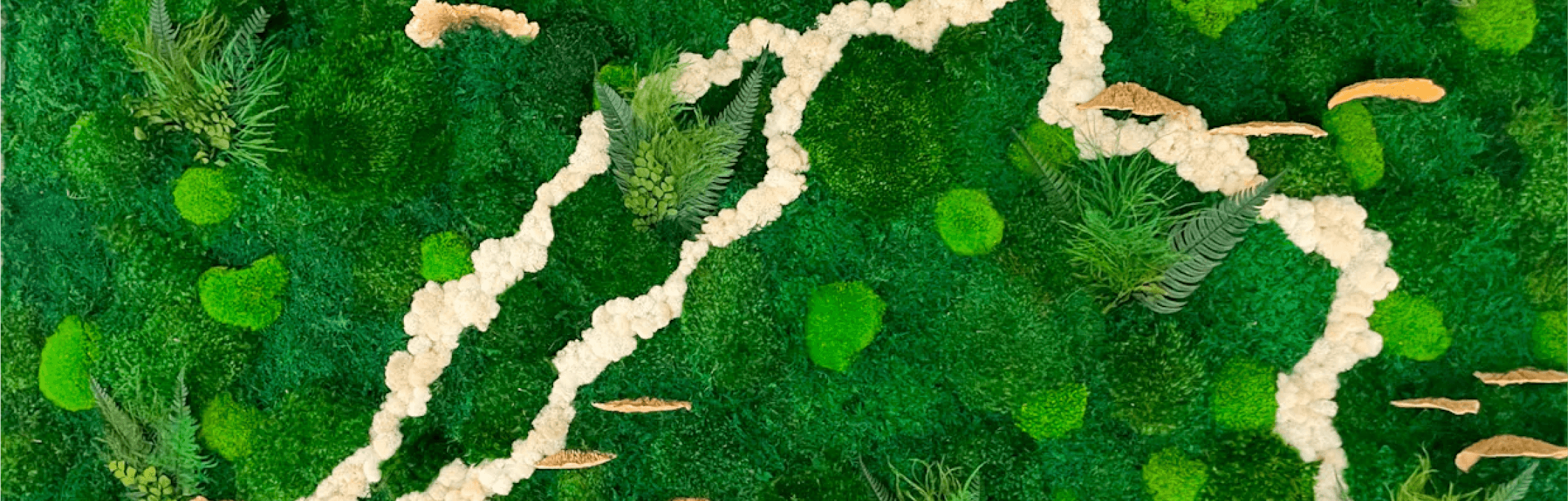 Preserved White Reindeer Moss Wild Wall