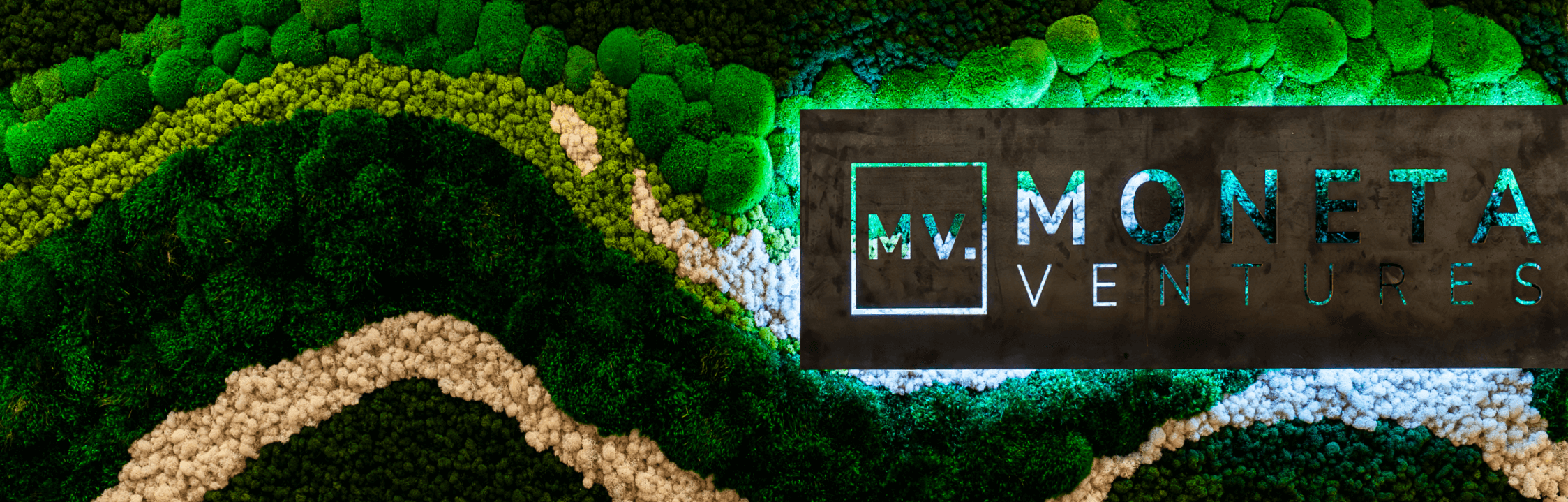 Moneta Ventures
