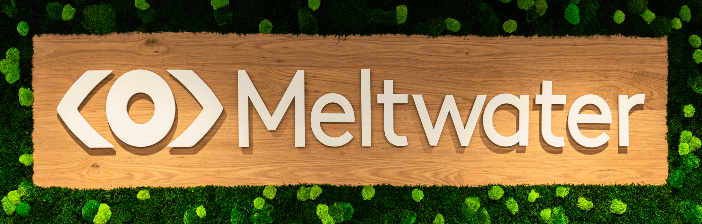 Meltwater Moss Wall