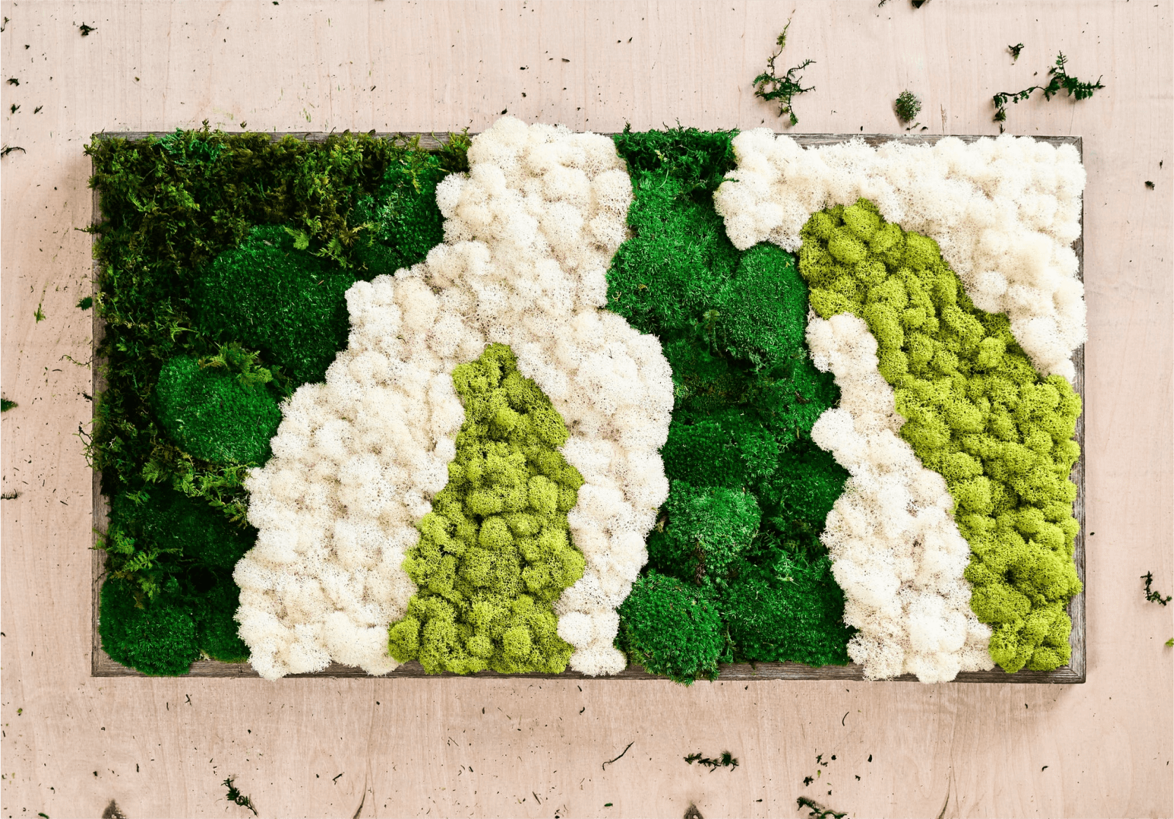 Preserved Moss Leopard Wall