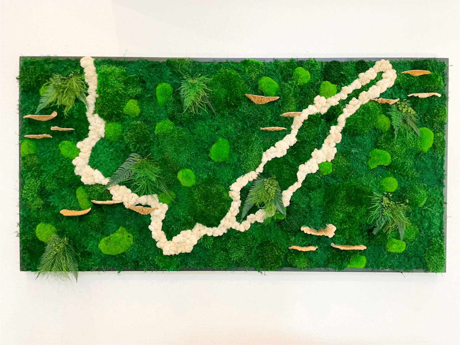 Preserved White Reindeer Moss Wild Wall