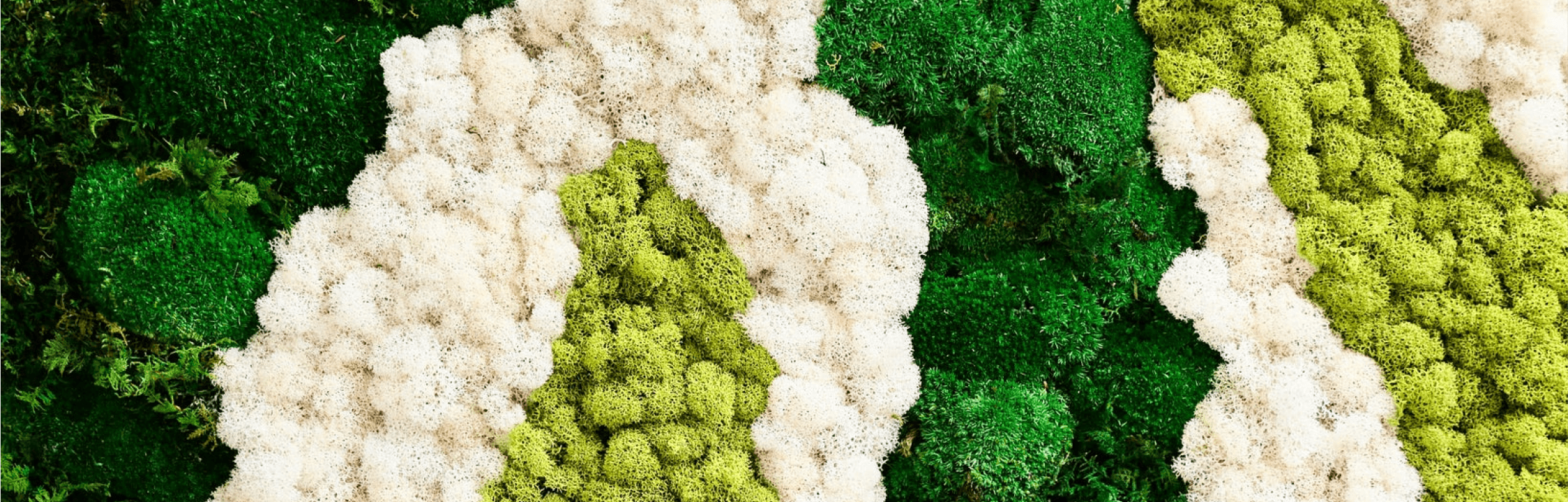 Preserved Moss Leopard Wall