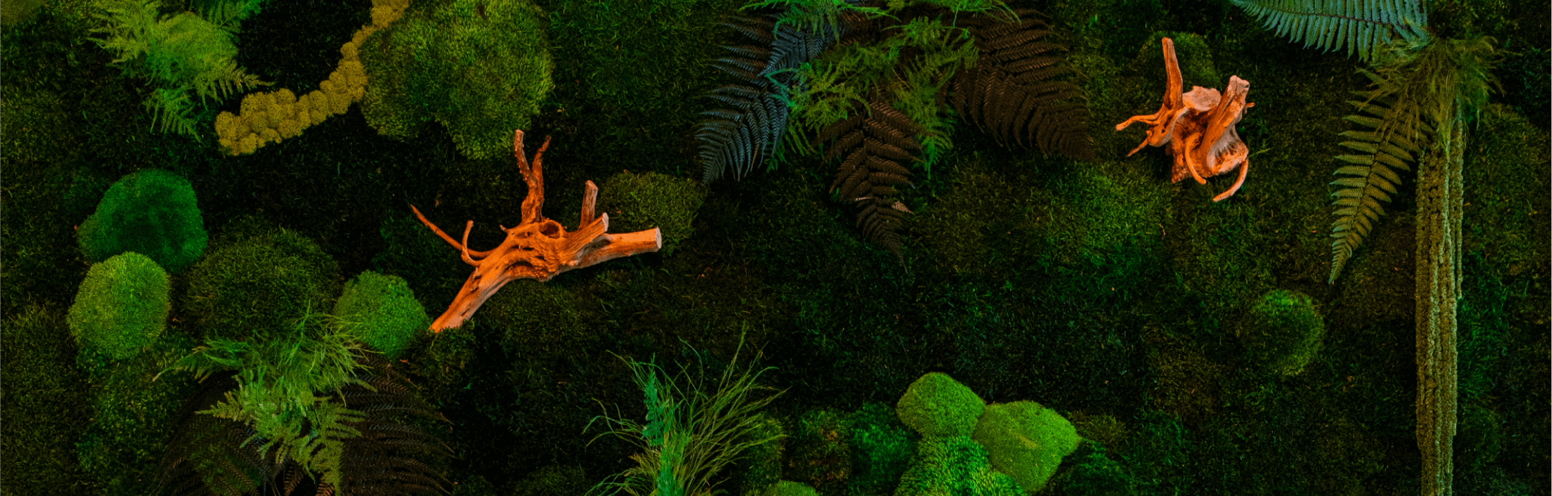 Residential Wild Wall