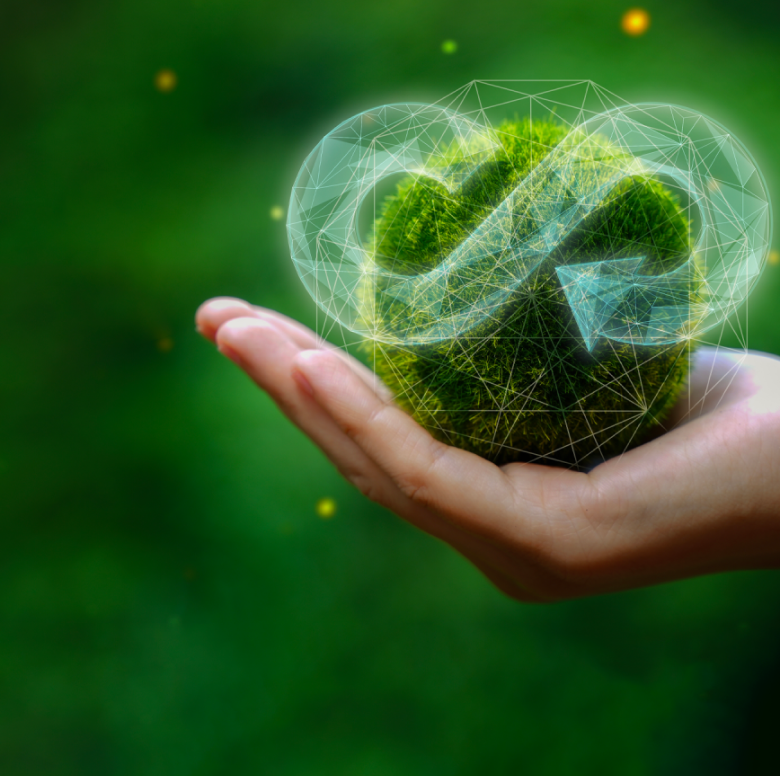 Bridging Sustainability and Innovation