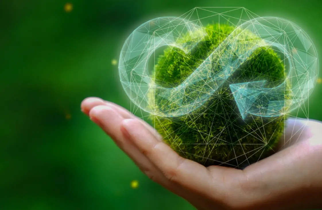 Bridging Sustainability and Innovation