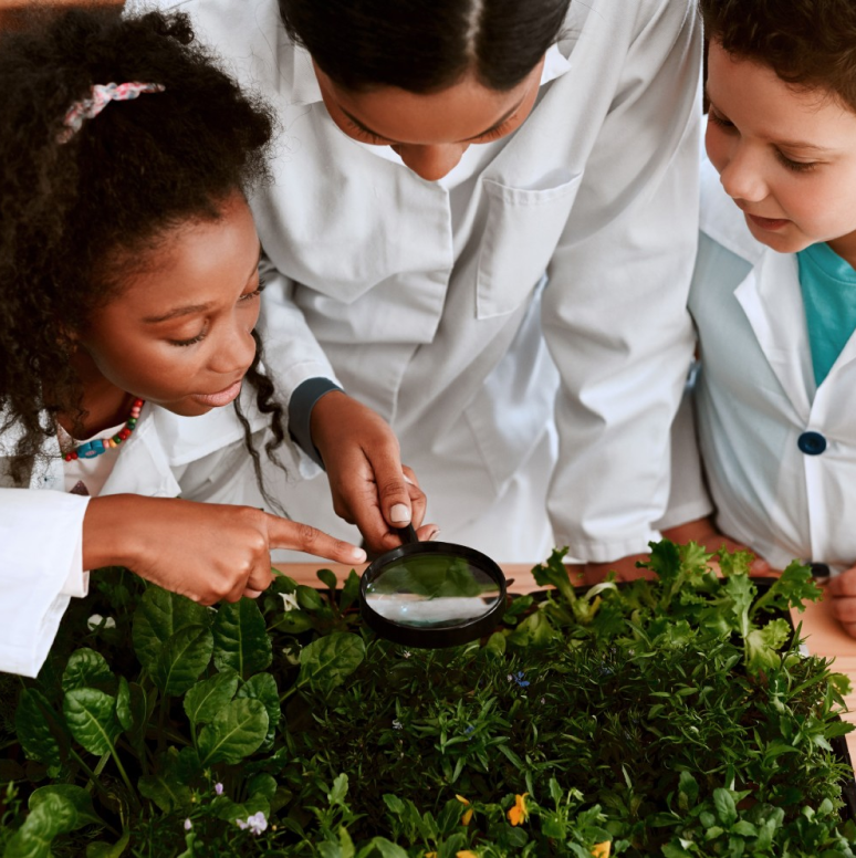 The Future of Learning: Biophilic Design in Schools