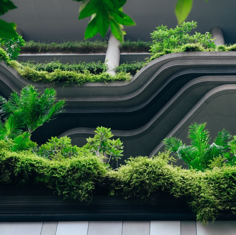 From Urbanization to Reconnecting with Nature