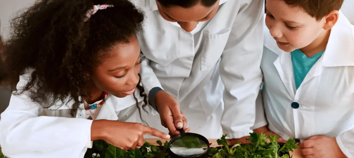 The Future of Learning: Biophilic Design in Schools