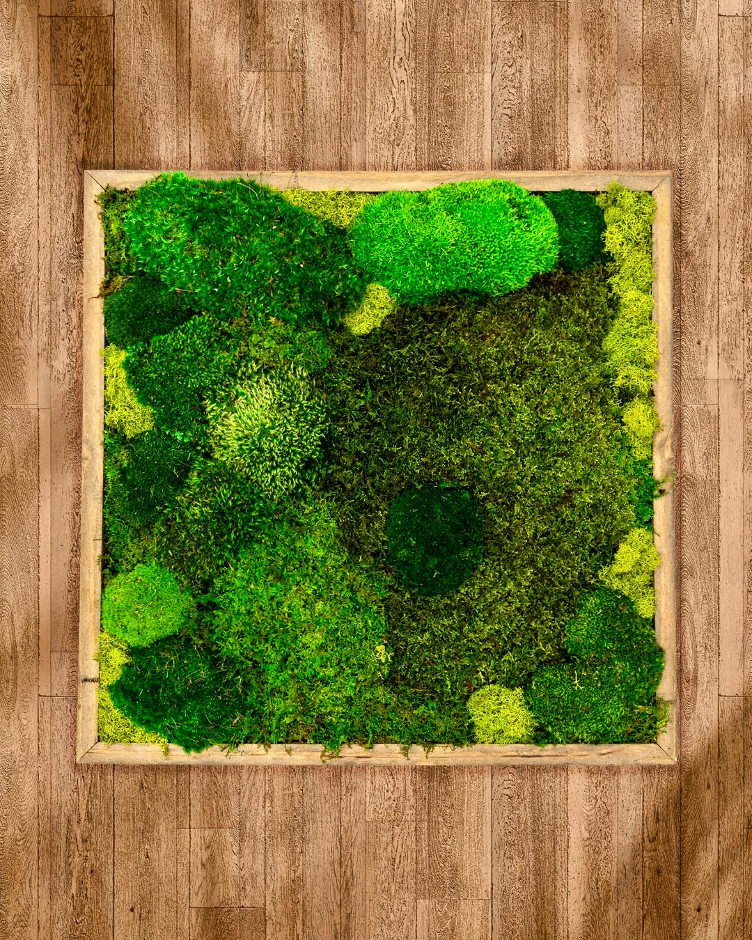  Wild Moss Square