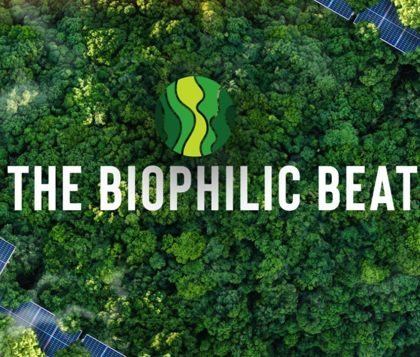 Building for Better: Why LEED and WELL Are Changing More Than Just the Walls