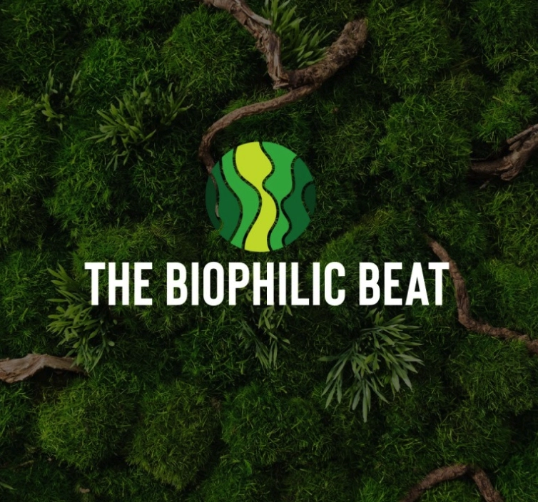 Navigating the Growth of Austin Moss Creations: From Etsy Beginnings to Expanding Horizons