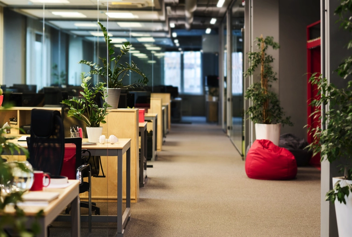 The Rhythm of Nature: How Biophilic Design Moves Us