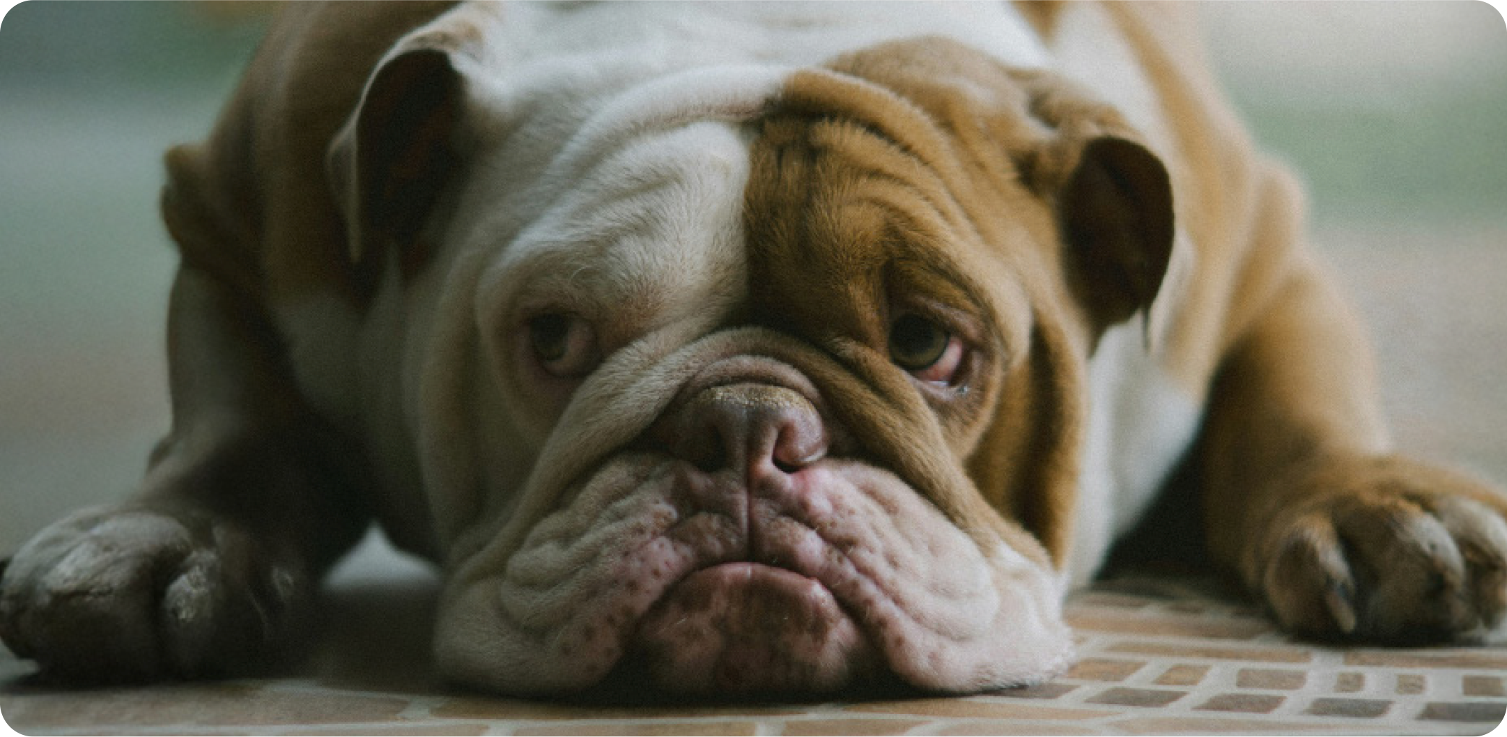 The world is full of killjoy brands, don't build another one