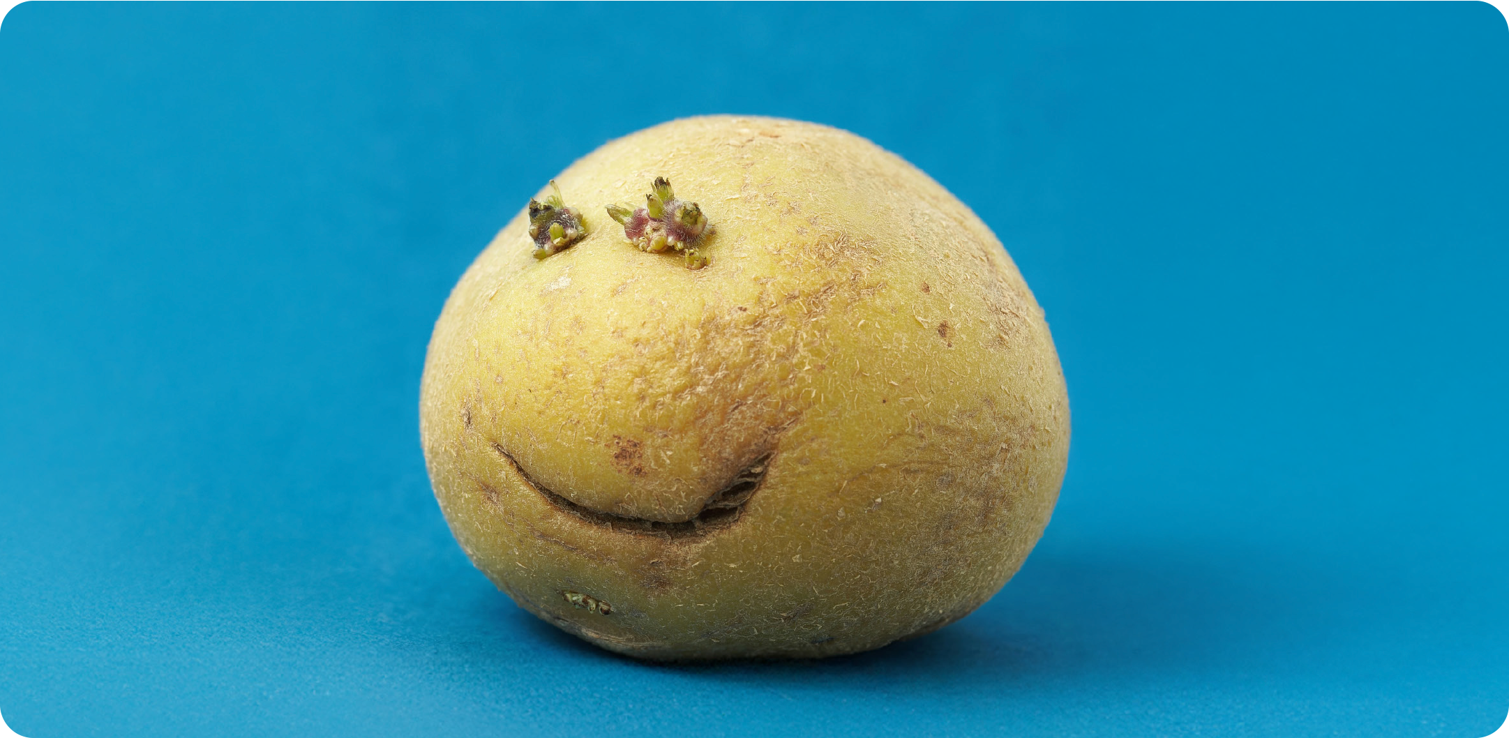 Joyfuel in, joyful out