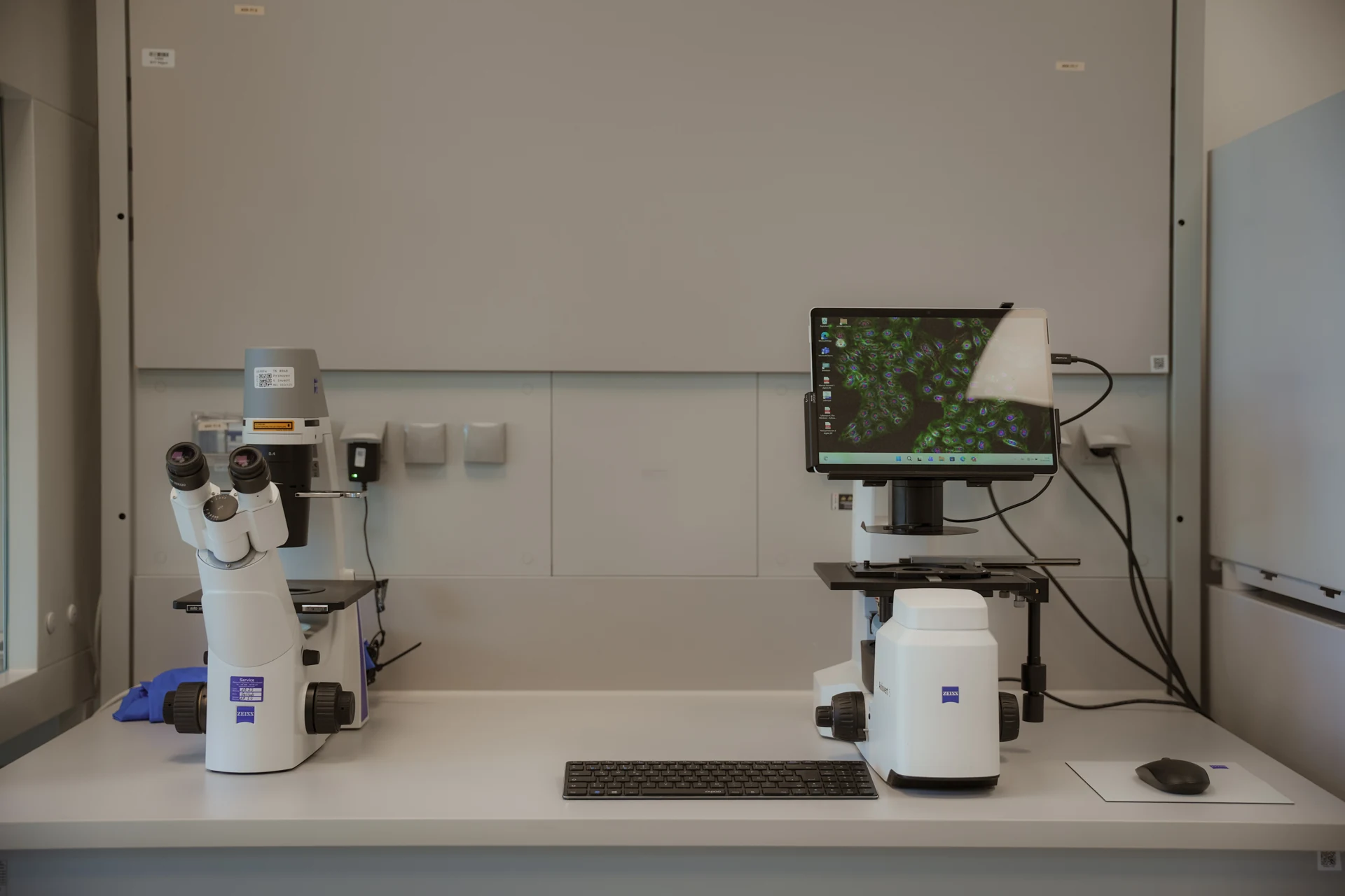 Microscopes and imaging workstation in the Shared Lab