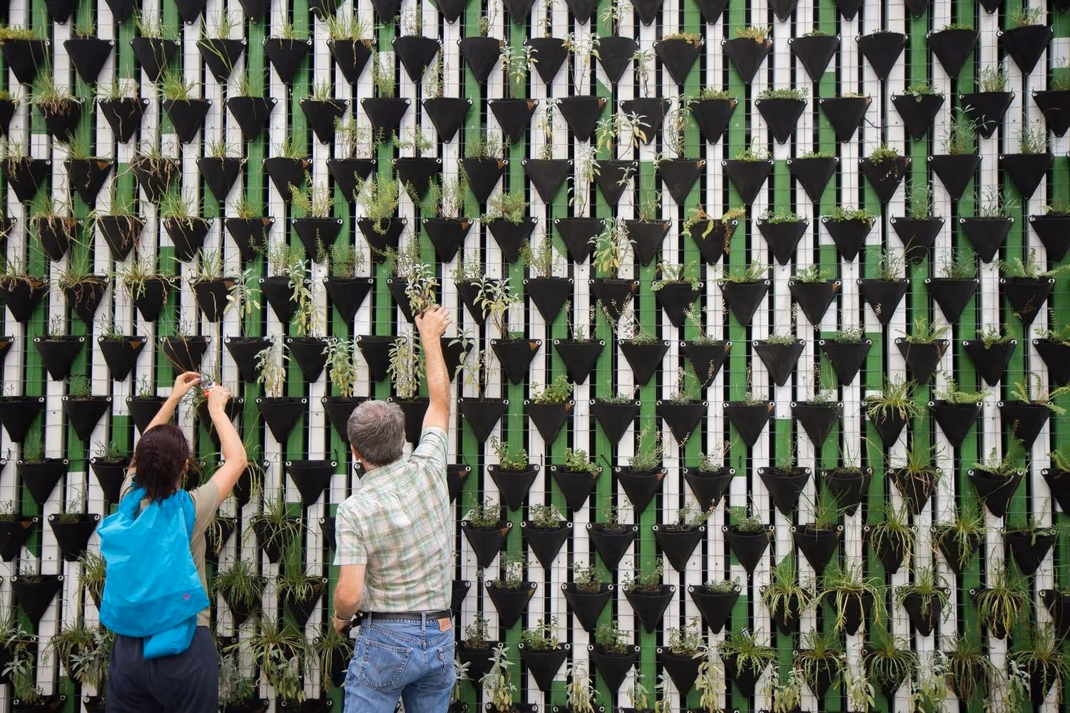 Two people tending to a vertical garden wall filled with black triangular pots. Green plants spill from each pot, creating a lush, organized display.