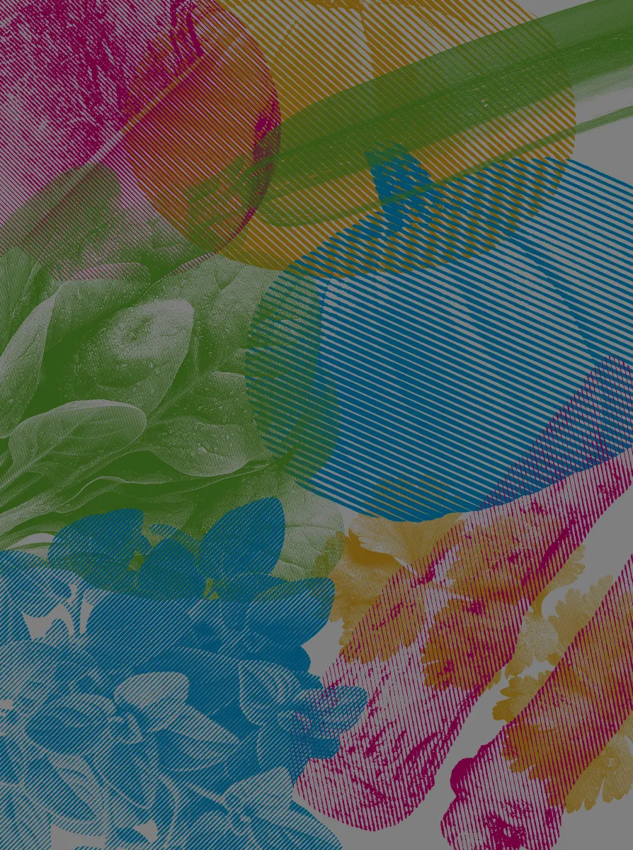 Immagine astratta con forme e colori del progetto susine.org