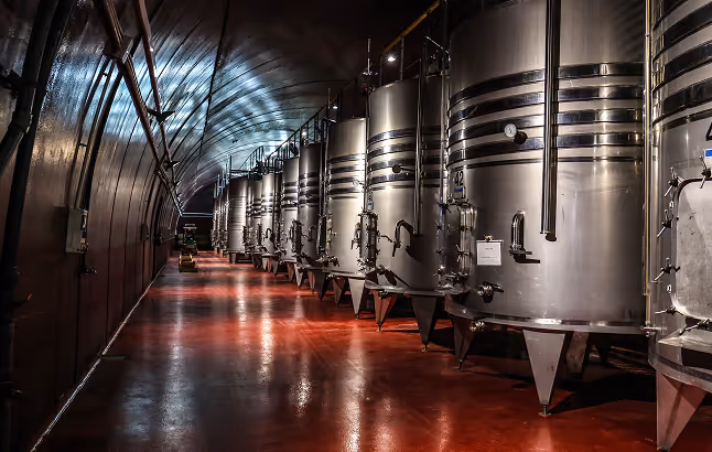 Row of large stainless steel fermentation tanks inside a dimly lit curved industrial cellar with a polished red floor.
