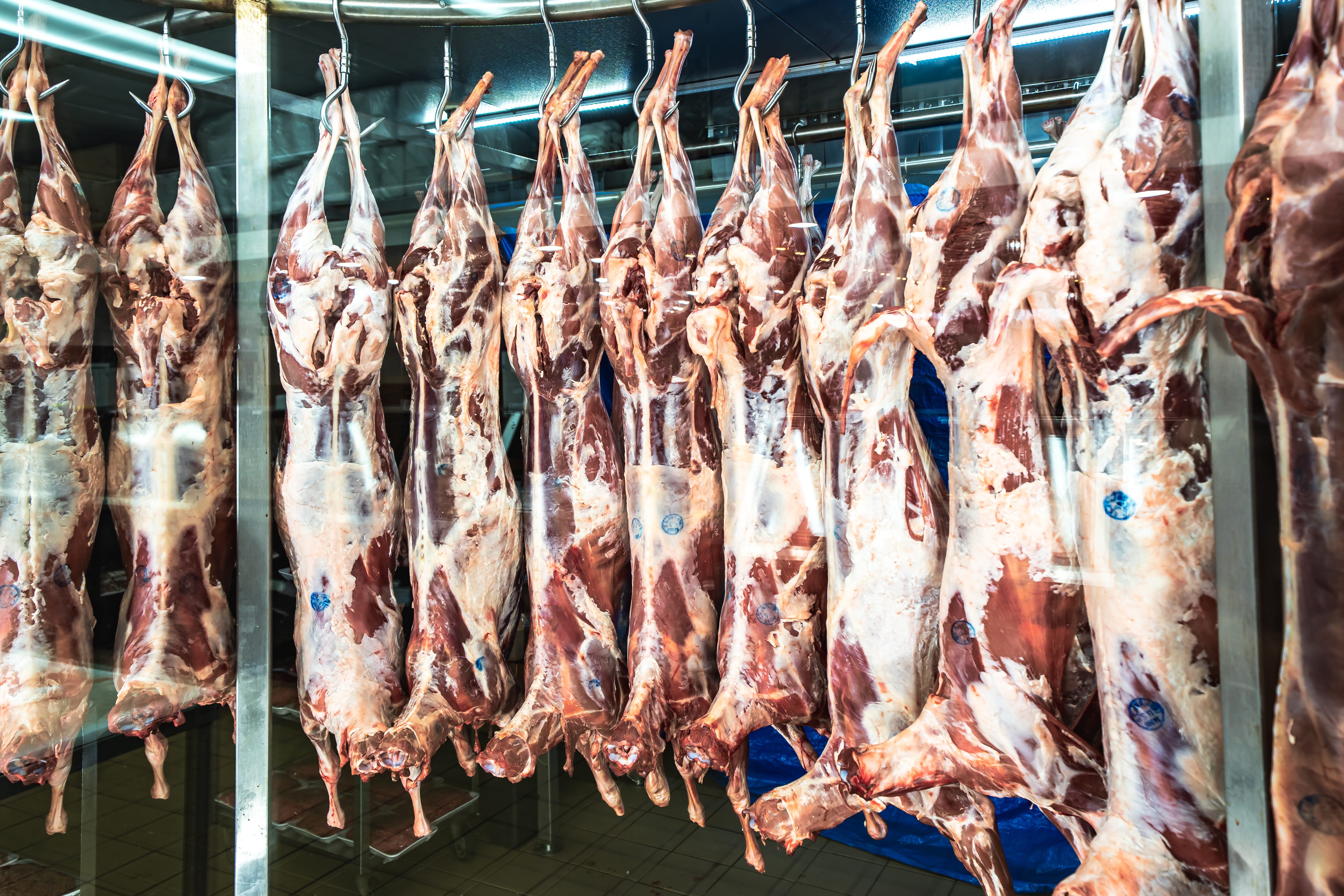 Raw t-bone steak seasoned with pepper beside fresh rosemary sprigs on a dark surface.