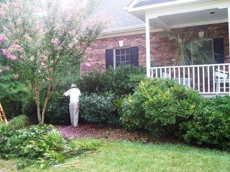 5 Common Problems of Older Landscapes