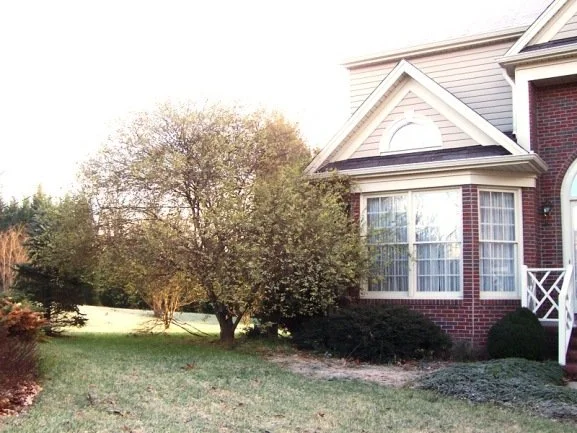 5 Common Problems of Older Landscapes