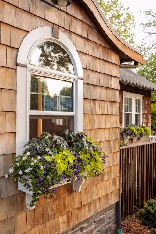 torenia_window_boxes_49 (1).jpg
