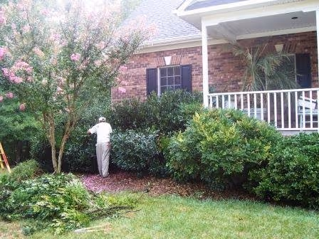5 Common Problems of Older Landscapes