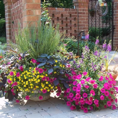 Easy Container Gardening