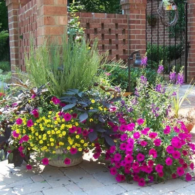 Easy Container Gardening
