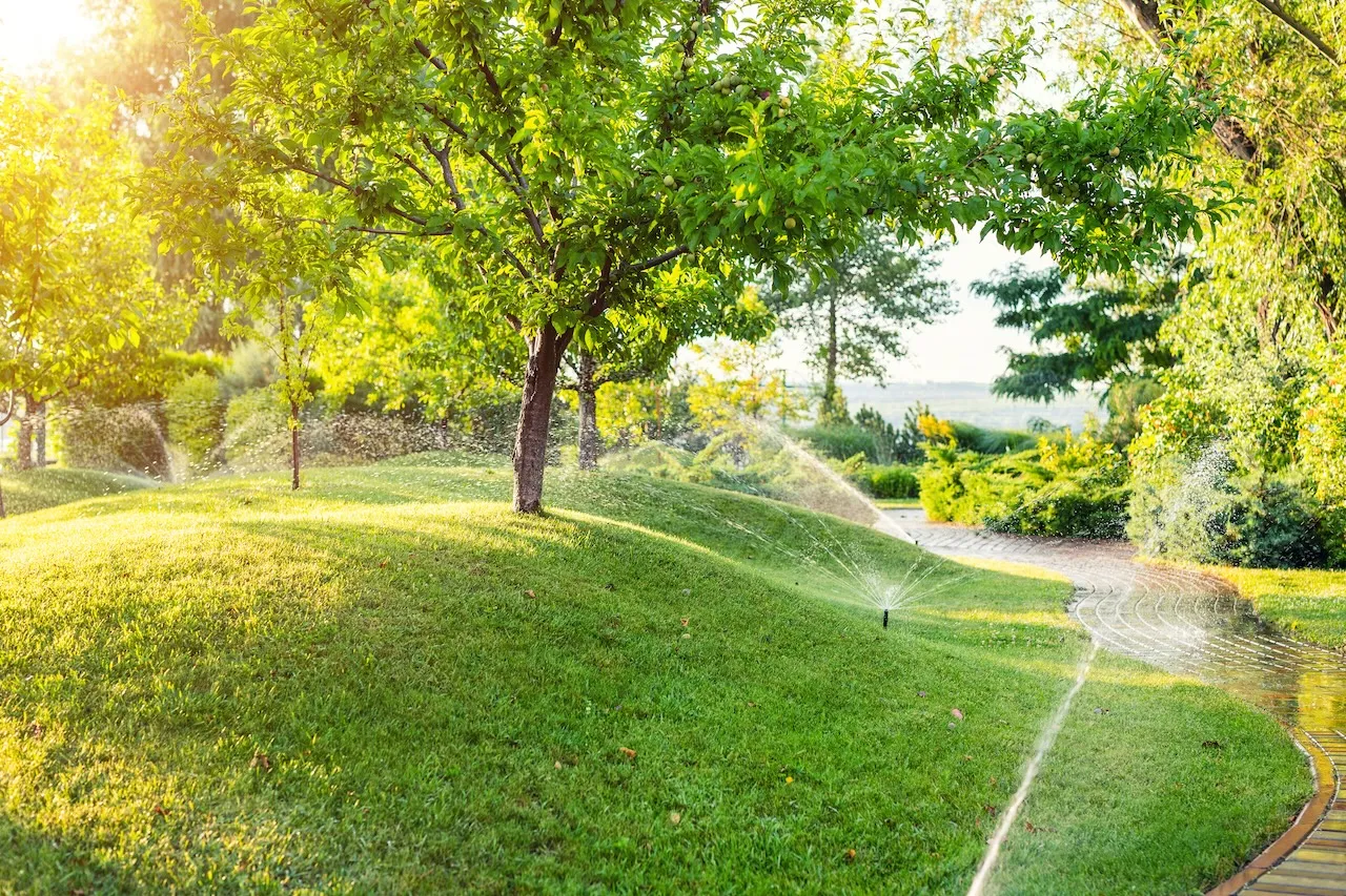 Landscape Design