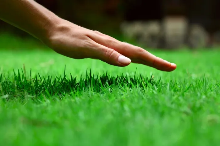 Landscape Design