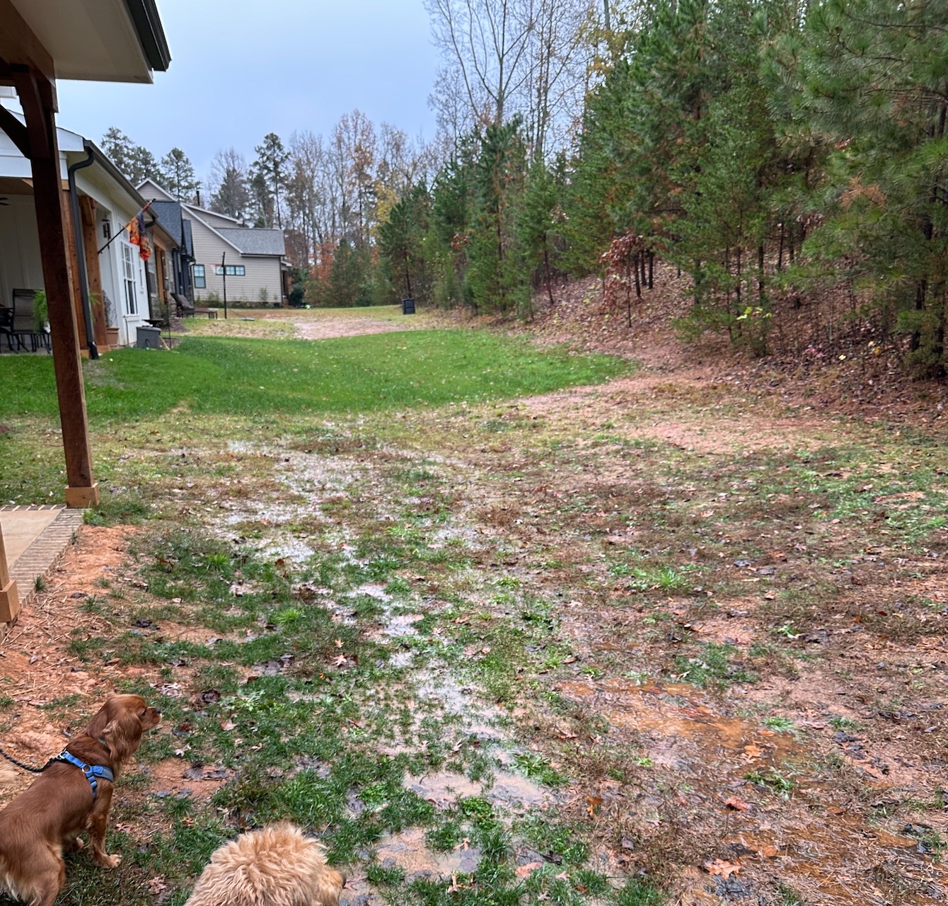 Yard being prepared before landscaping