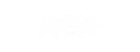 Profi brand logo
