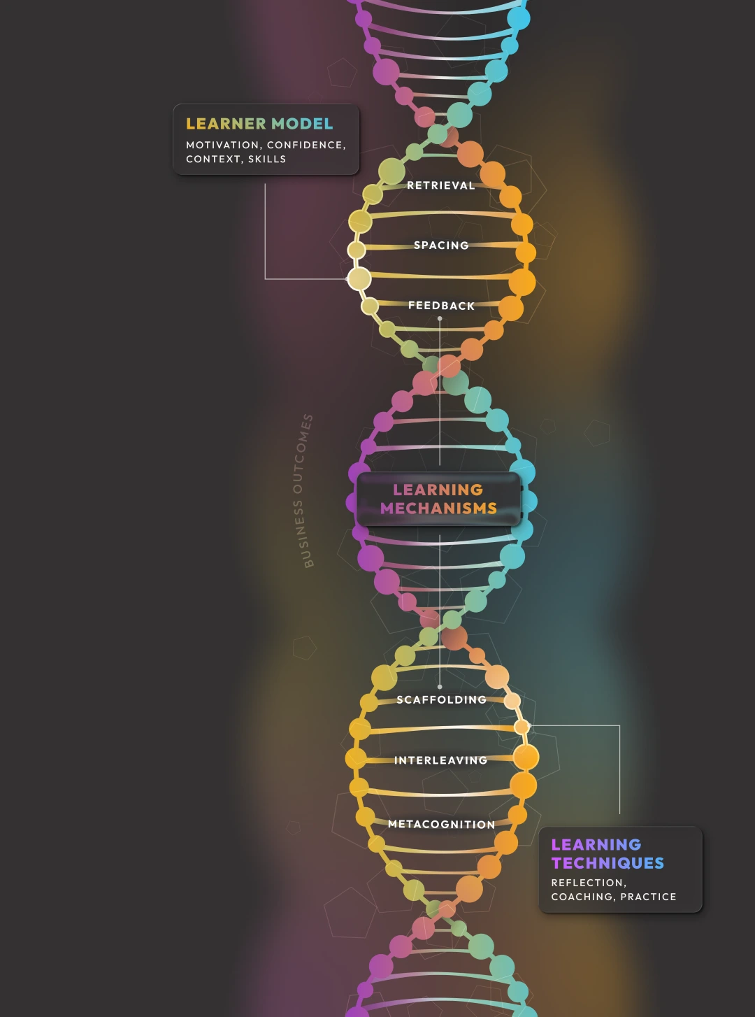 Colorful double helix diagram illustrating the The Learning DNA™ Framework