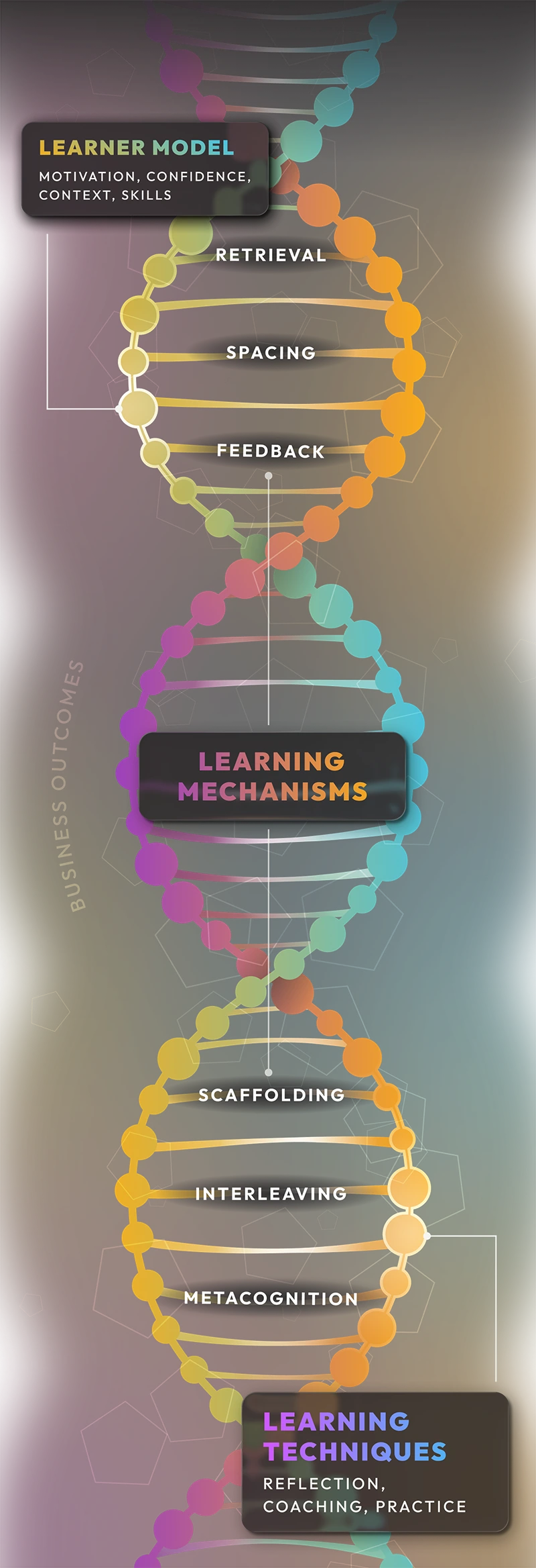 Colorful double helix diagram illustrating the The Learning DNA™ Framework