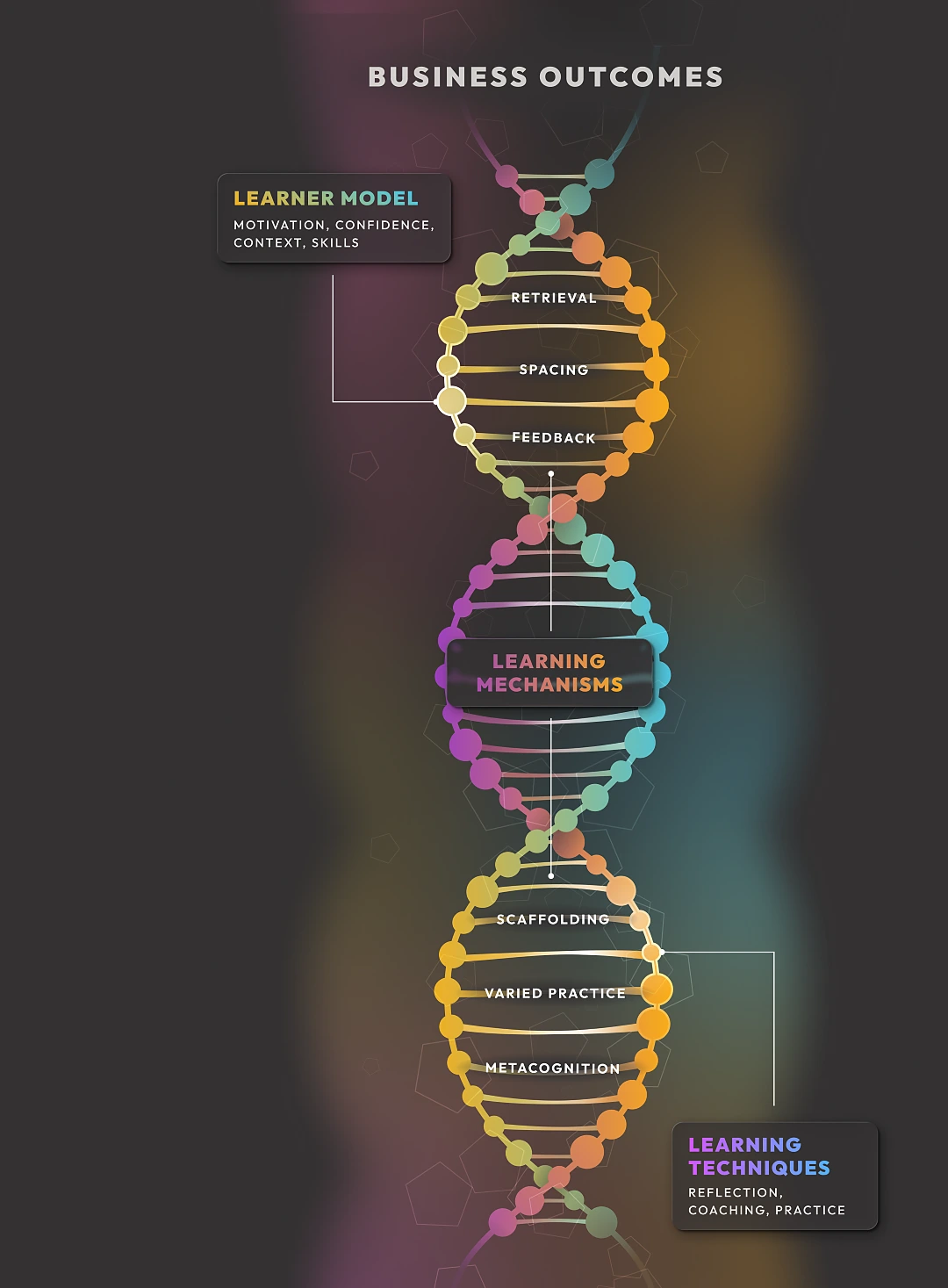 Colorful double helix diagram illustrating the The Learning DNA™ Framework
