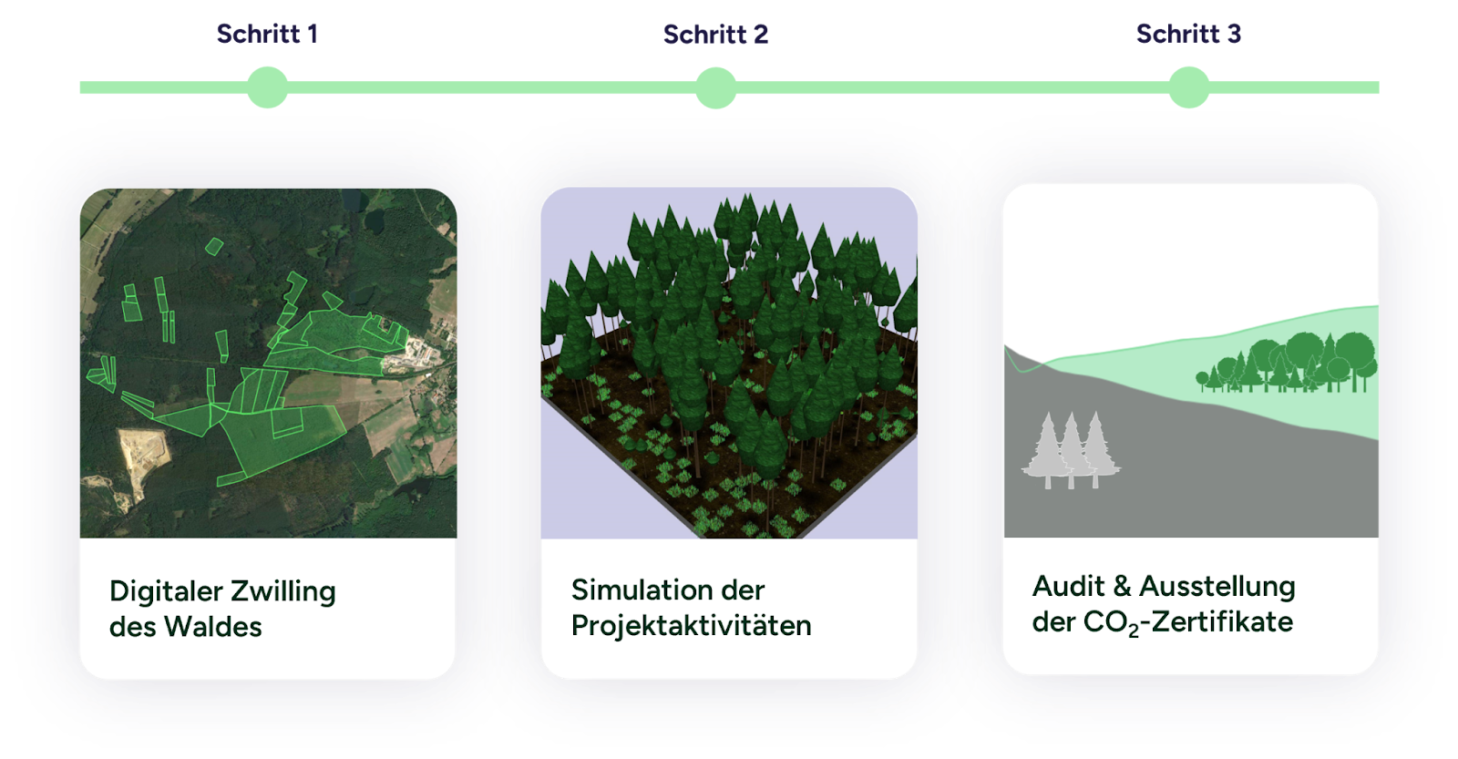 Der datenbasierte, digitale Zertifizierungsprozess von Pina Earth‍