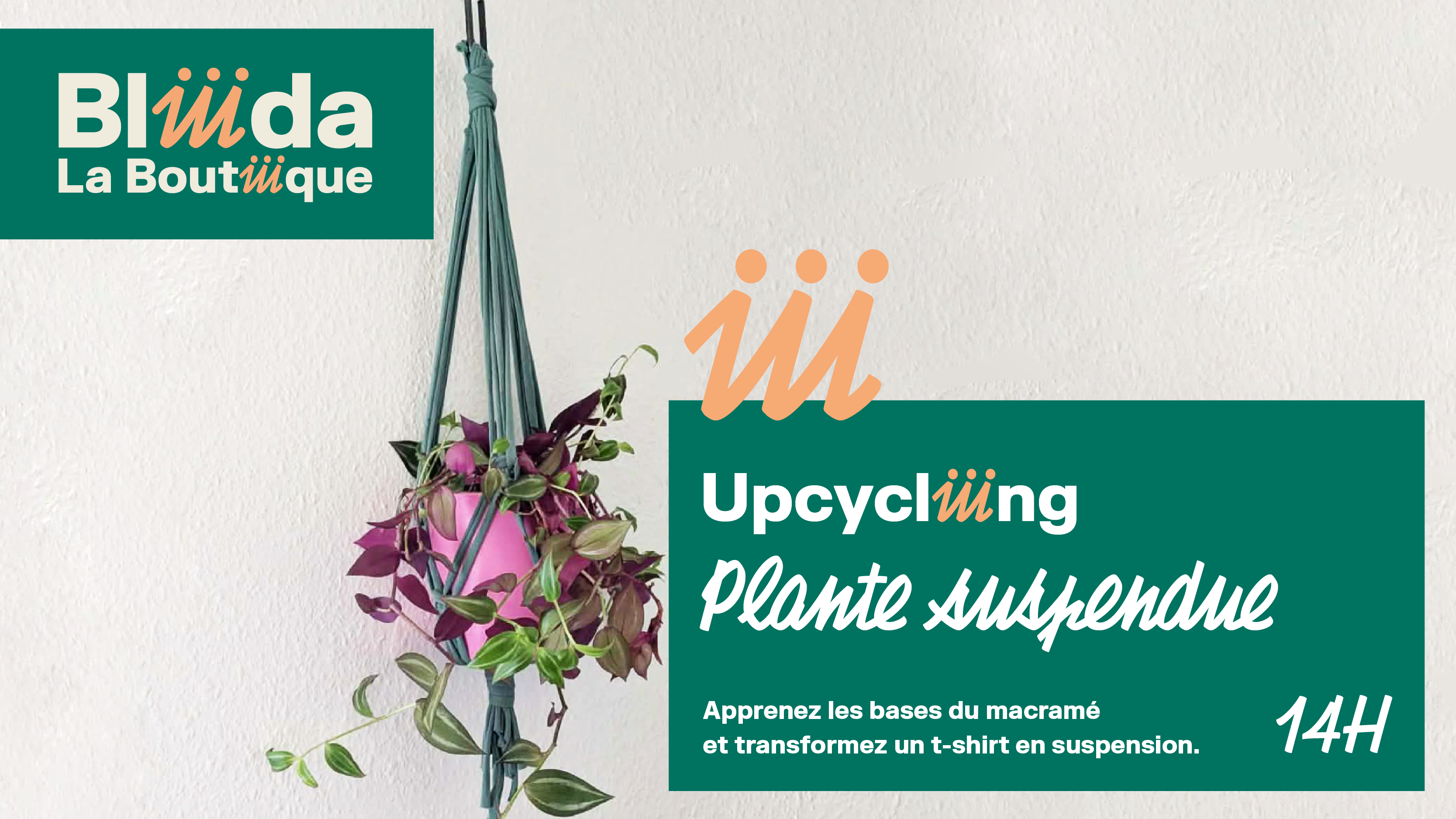 Atelier création suspension de plantes