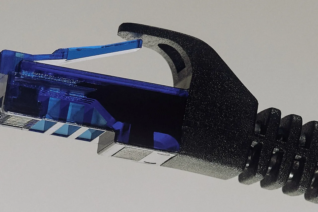 Close-up of a blue Ethernet cable connector with a black protective boot.