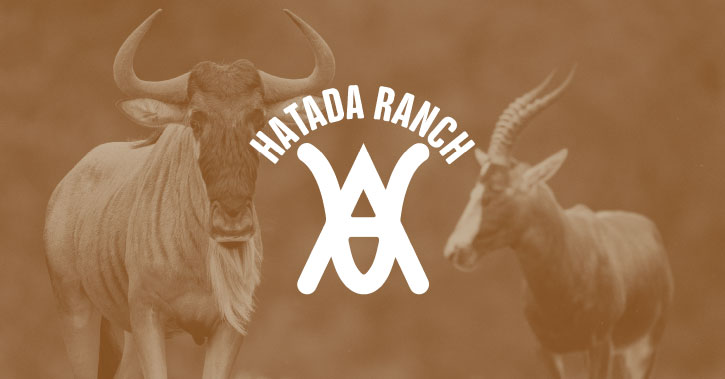 Hatada Ranch photo 24