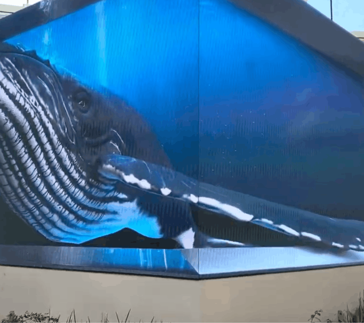 Practical design rules for LED walls, showrooms, and immersive spaces — from readability to motion and depth.