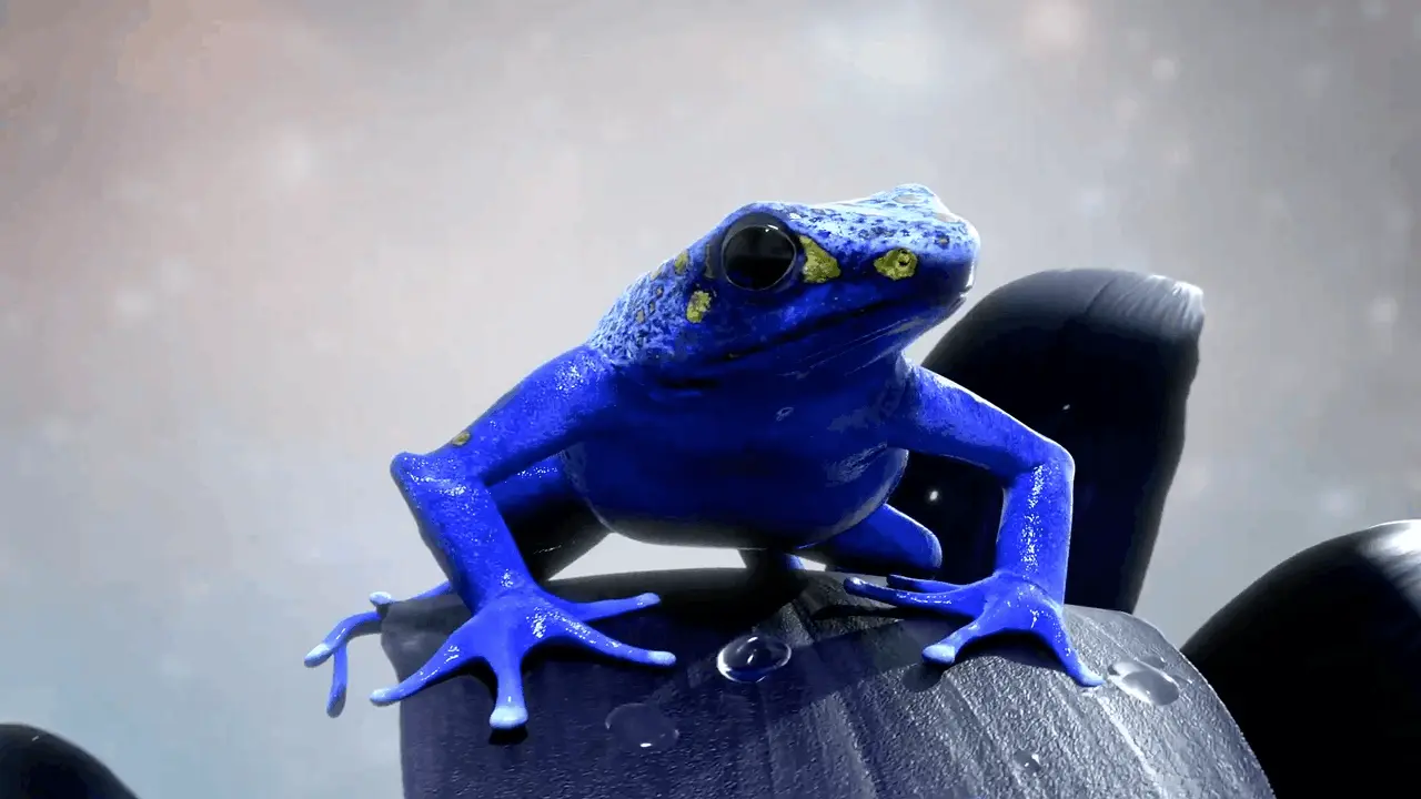Blue Square X Recent Content Project Highlights