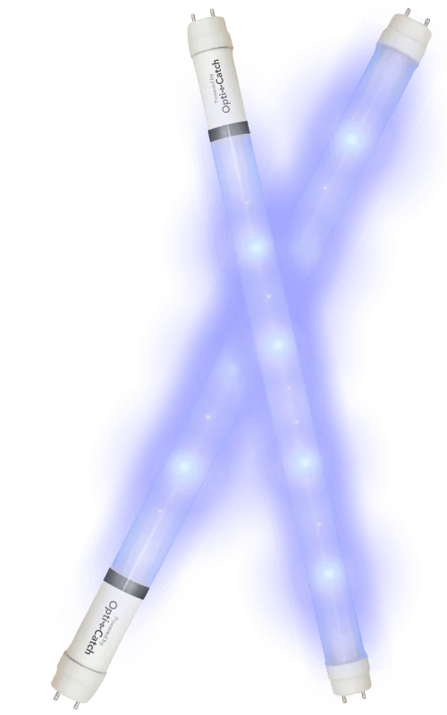 Two glowing ultraviolet light tubes labeled Opti-Catch emitting blue light.