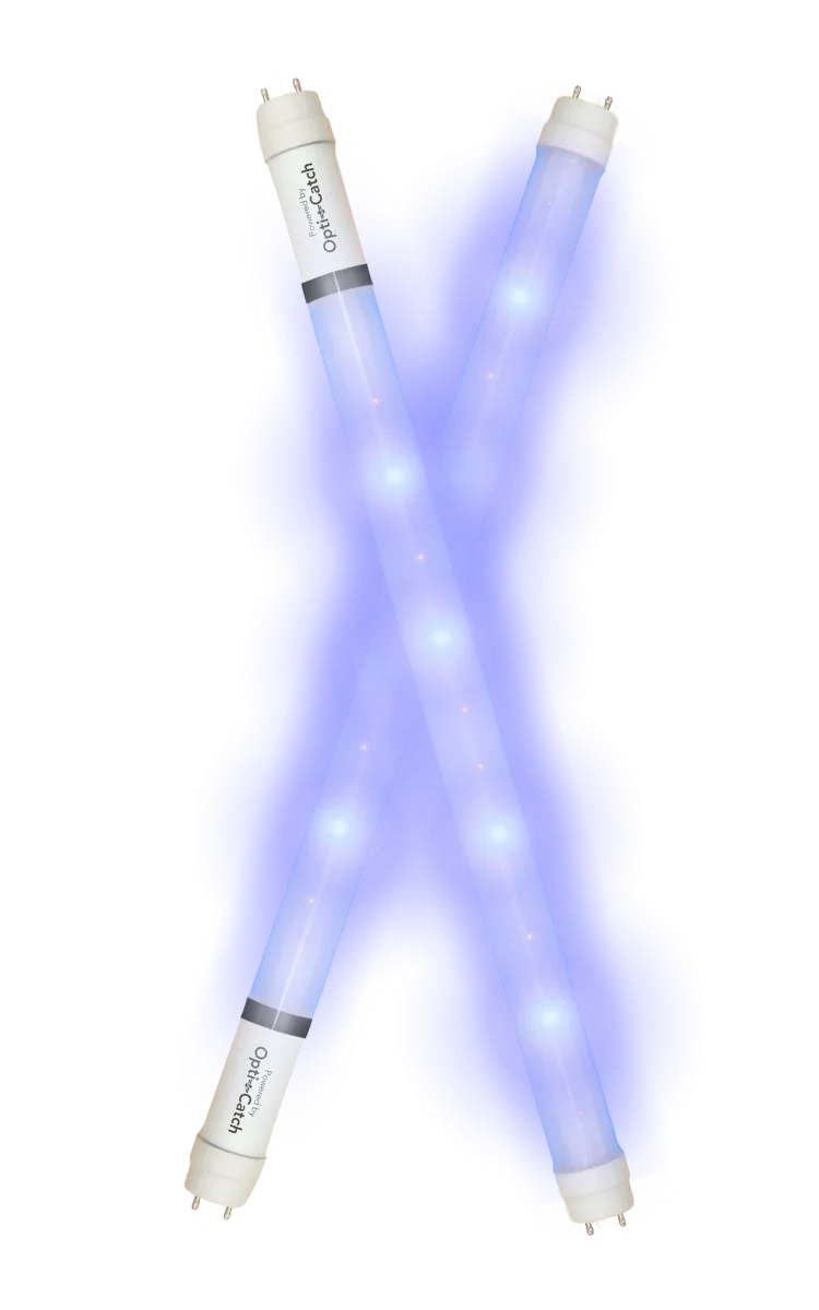 Two elongated LED light bulbs emitting a blue glow, labeled Opti-Catch.