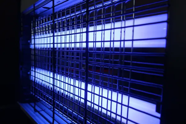 Close-up of blue UV LED insect trap light grid.