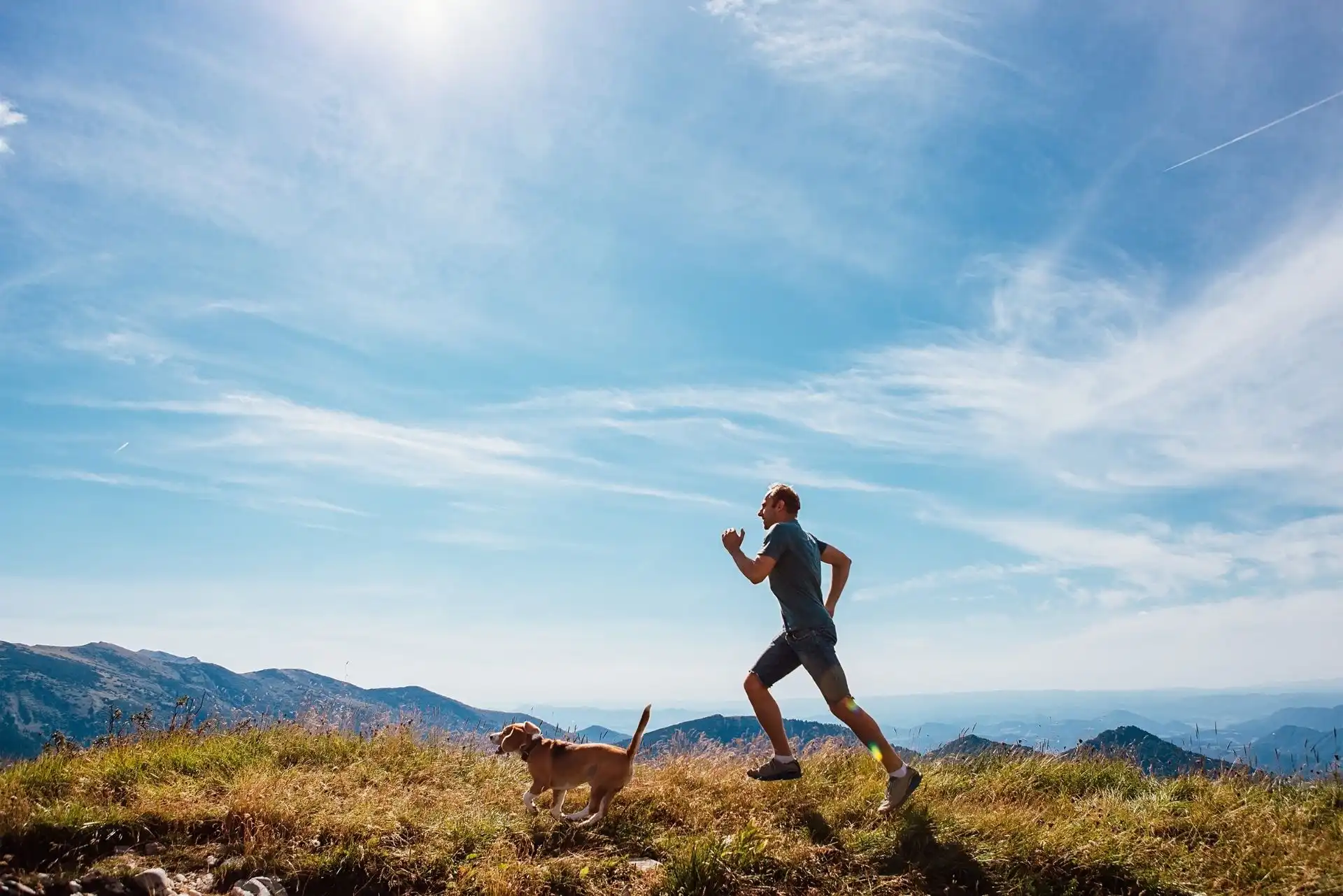 Man running on a grassy mountain trail with a beagle dog under a sunny blue sky.